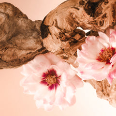 Santal Bloom - Body Duo